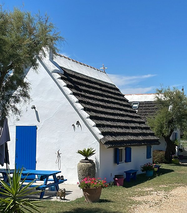 Chaumière De Camargue par Alexandre Sarg