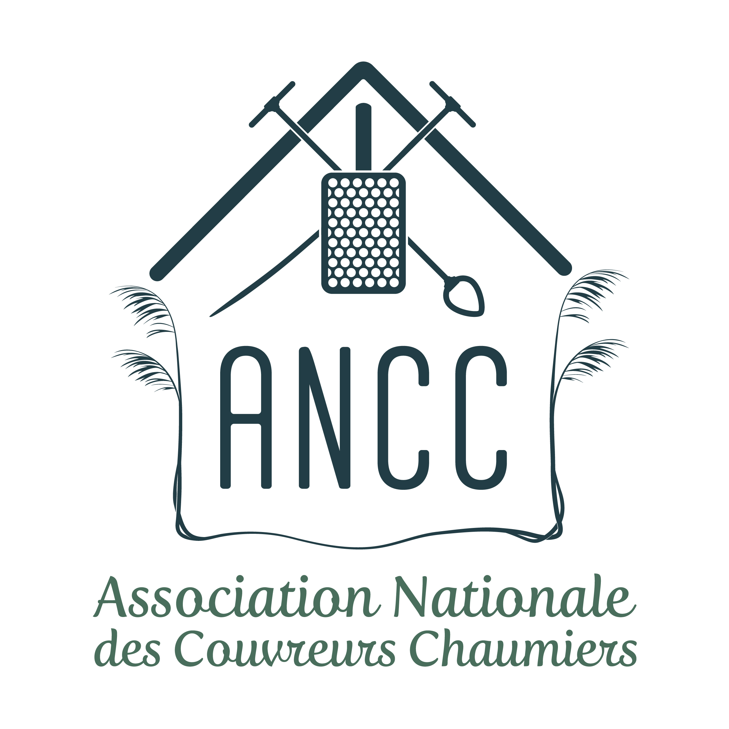Ancc