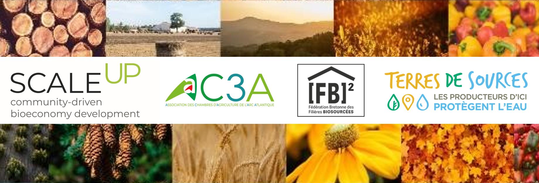 Evénement Scale Up 26nov2024